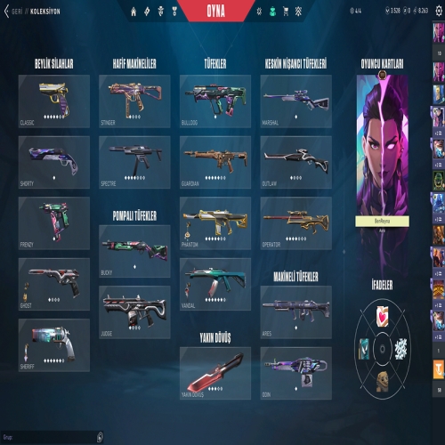  200+ skinli valorant hesabı sahibinden mail devri